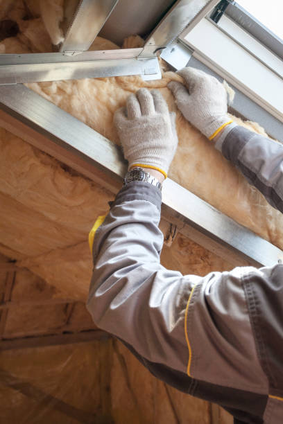 Best Cellulose Insulation in Lexington Park, MD